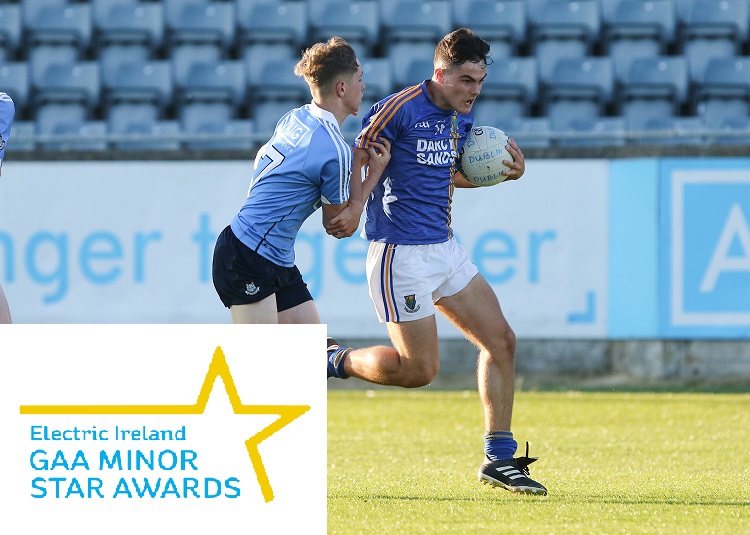 Deserved Electric Ireland All-star award for Eoin Darcy.