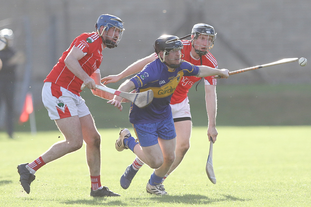 Glenealy hold off spirited Carnew to retain their crown.