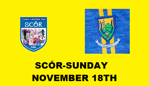 Wicklow GAA invites you to 50 years celebration of Scór.