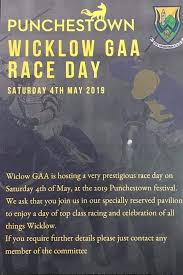 Punchestown Wicklow GAA Race Day