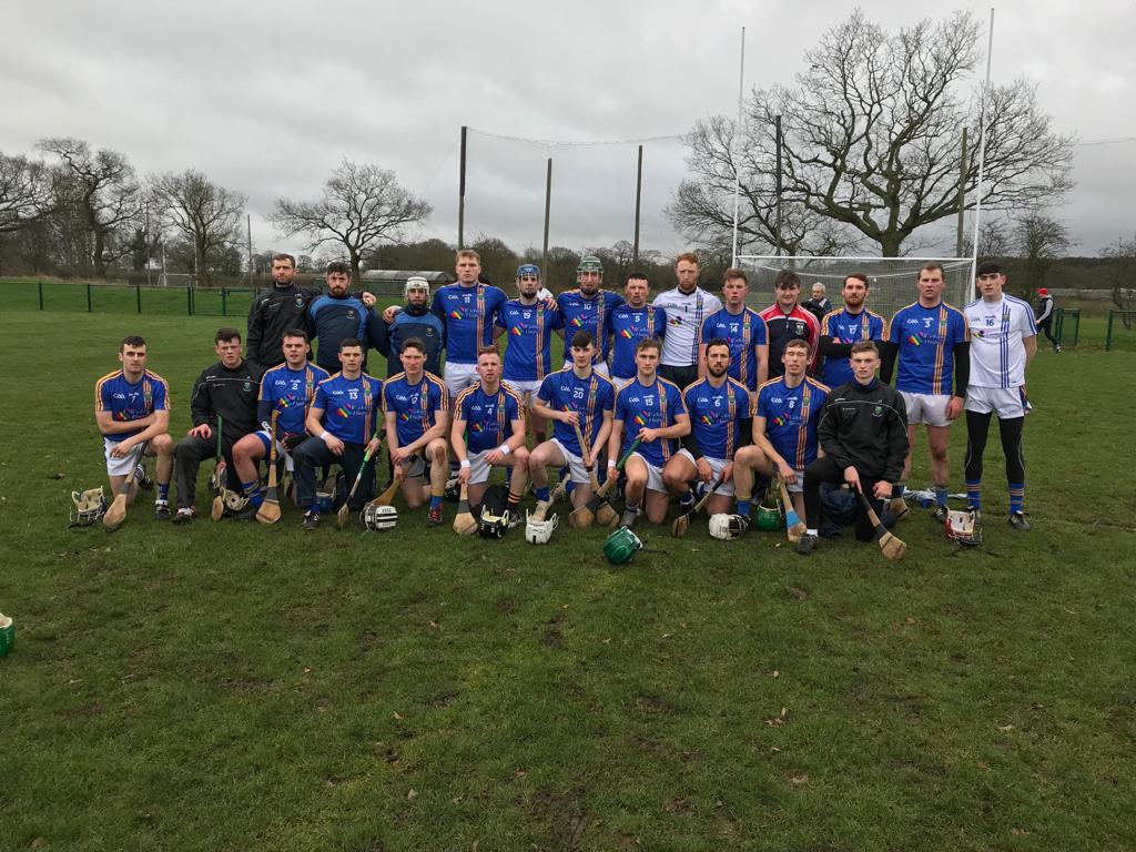 Wicklow Hurlers take victory in Birmingham