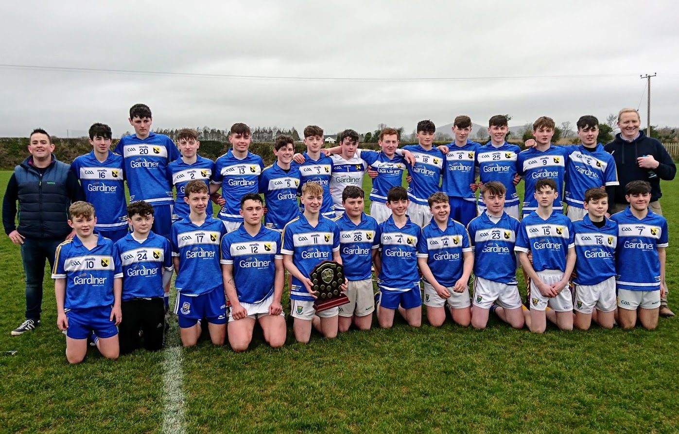 South Leinster Hurling Title for Coláiste Bhríde, Carnew