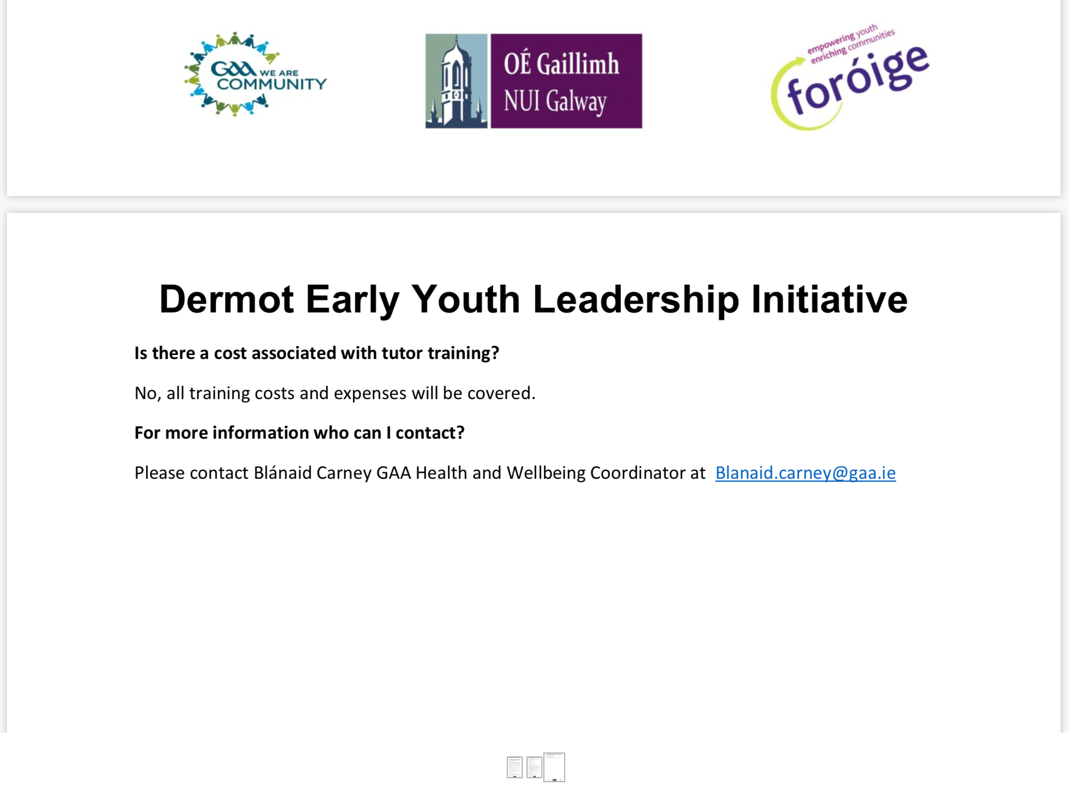 Dermot Earley Youth Leadership Initiative