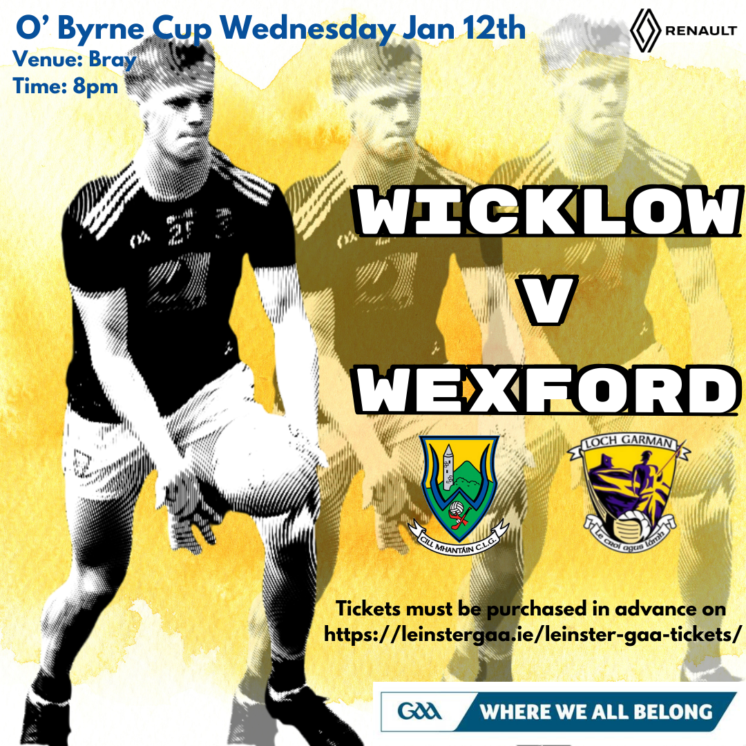 O’ Byrne Cup Wicklow v Wexford