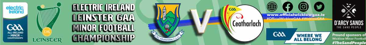 Electric Ireland Leinster MFC | R3 Wicklow v Carlow