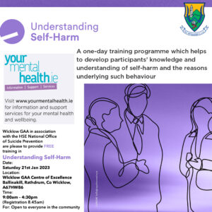 FREE Understanding Self Harm Training - Wicklow GAA