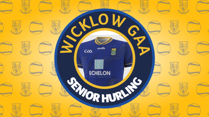 Christy Ring Cup – Round 1 | Donegal v Wicklow